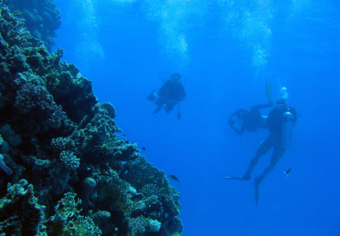 Subsea infrastructure repair