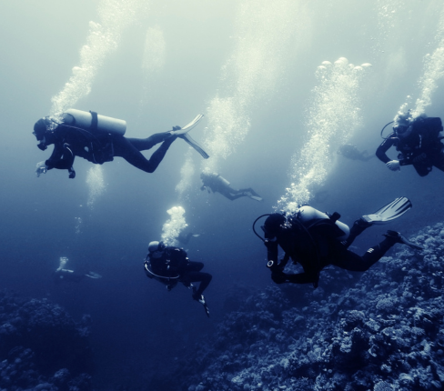 Offshore subsea inspection and maintenance diving